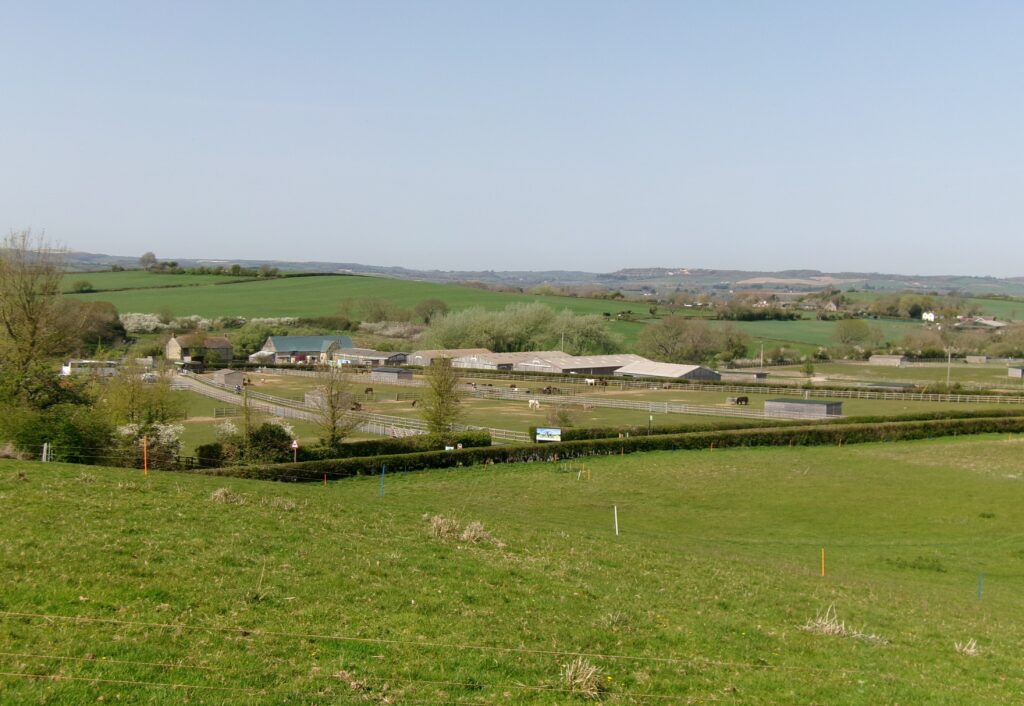 View across paddocks and sanctuary buildings at the Isle of Wight Donkey Sanctuary in Wroxall, with donkeys grazing.