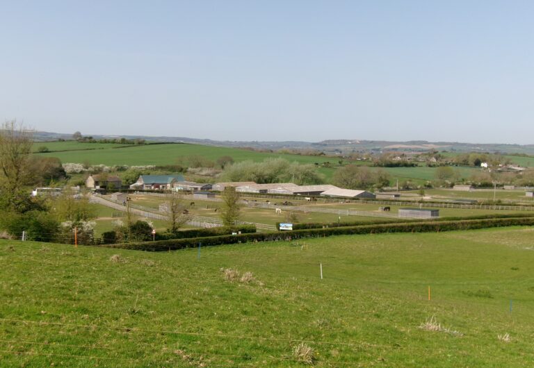 View across paddocks and sanctuary buildings at the Isle of Wight Donkey Sanctuary in Wroxall, with donkeys grazing.